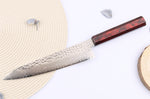 Couteau de chef japonais 21cm Sakai Takayuki Nanairo Wine Damas VG10