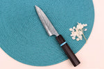 Couteau universel japonais artisanal Yu Kurosaki Fujin 12cm SG2 turquoise
