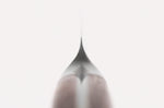 Couteau d'office 9cm Guillaume Leonard Cuistot en acier inoxydable et bois de santal rouge