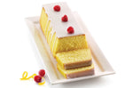 Moule professionnel en silicone Silikomart Uniflex plum cake 260x100mm