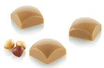 Moule professionnel en tritan Silikomart Chocado Domus 01-P 24 pralines