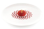 Set de 2 pochoirs en silicone professionnel Silikomart Naturae Galaxie Ø10,8cm