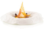 Moule en silicone professionnel Silikomart Naturae 470x270mm 20 plumes