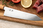 Couteau kiritsuke gyuto 21cm japonais Yuzo Ryuho Damas SG2