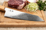 Couteau kiritsuke gyuto 24cm japonais Yuzo Ryuho Damas SG2