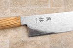 Couteau santoku 18cm japonais Yuzo Ryuho Damas SG2