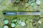 Râpe-zesteur Microplane Premium Classic Vert Eucalyptus - 20,3cm