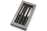 Coffret de 4 couteaux à steak Fusion Amefa