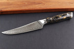 Couteau à steak Wusaki Sakin Damas 10Cr 13cm manche en fibre de carbone et feuille d'or