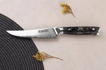 Couteau à steak Wusaki Sakin Damas 10Cr 13cm manche en fibre de carbone et feuille d'or