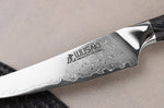 Couteau à steak Wusaki Sakin Damas 10Cr 13cm manche en fibre de carbone et feuille d'or