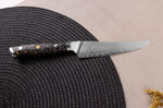 Couteau à steak Wusaki Sakin Damas 10Cr 13cm manche en fibre de carbone et feuille d'or