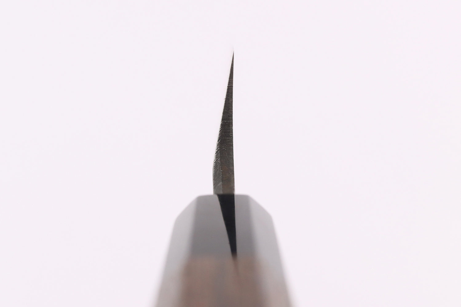 Couteau gyuto asymétrique 21cm japonais artisanal Hatsukokoro Shirasagi manche en wengé