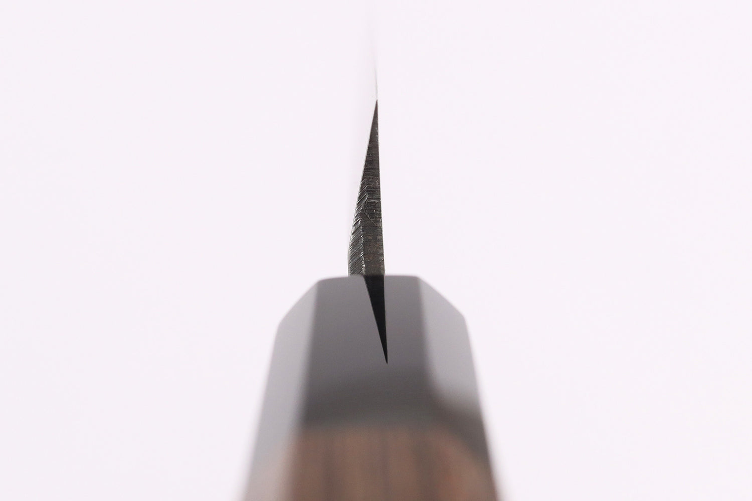 Couteau yanagiba kiritsuke 24cm japonais artisanal Hatsukokoro Shirasagi manche en wengé