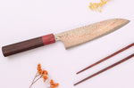 Couteau de chef 18cm japonais artisanal Takeshi Saji VG10 Rainbow Nashiji