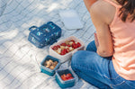 Lunch box pour enfant Monbento Tresor loup bleu
