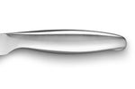 Couteau d'office Sabatier Fuso Nitro+ lame Sandvik 10cm tout inox