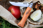 Couteau Opinel Tradition Carbone n°10 lame 10cm manche hêtre + virole tournante