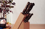 Bloc 5 couteaux Tramontina Polywood en technobois et inox