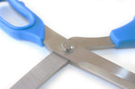 Ciseaux à poisson Bargoin 27,5cm lame crantée inox manche bleu