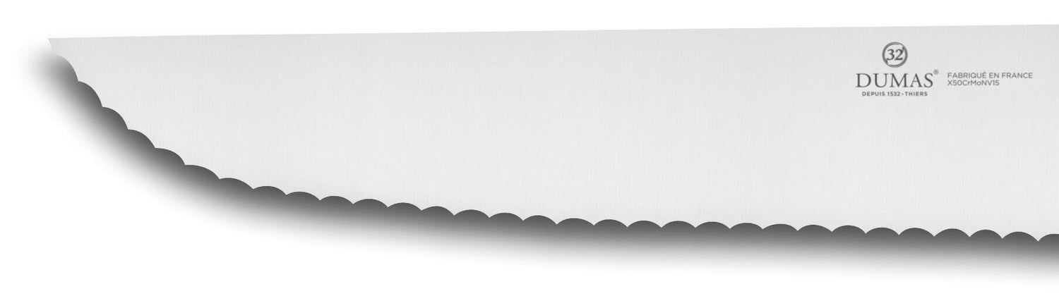 Couteau à poisson denté 32 Dumas Affil inox 35cm manche 3 rivets