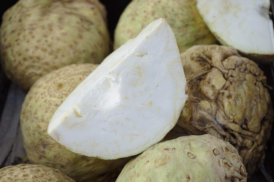 Article card 251