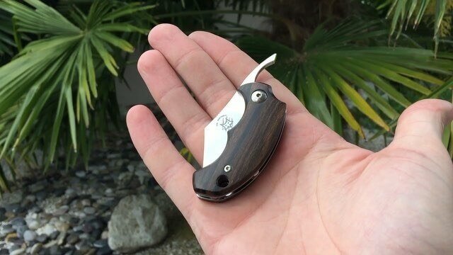 Couteau pliant FOX Bastinelli FX-519ZW BB Drago ziricote 6,5cm + étui