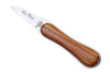 Couteau à huîtres Florinox "Le Bec" bois d'olivier et inox