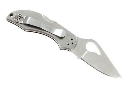 Couteau pliant Spyderco BYRD Robin 2 tout inox 8.5cm