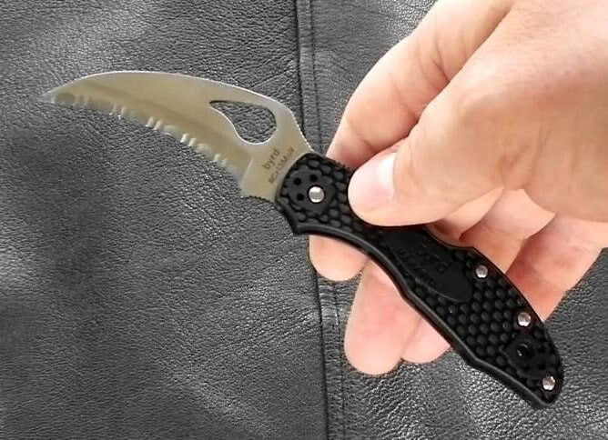 Couteau pliant Spyderco BYRD Hawkbill lame à dents manche noir 10cm