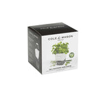 Conservateur Cole & Mason pour herbes fraiches en pot - 1 place