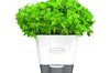 Conservateur Cole & Mason pour herbes fraiches en pot - 1 place
