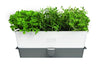Conservateur Cole & Mason pour herbes fraiches en pot - 3 places
