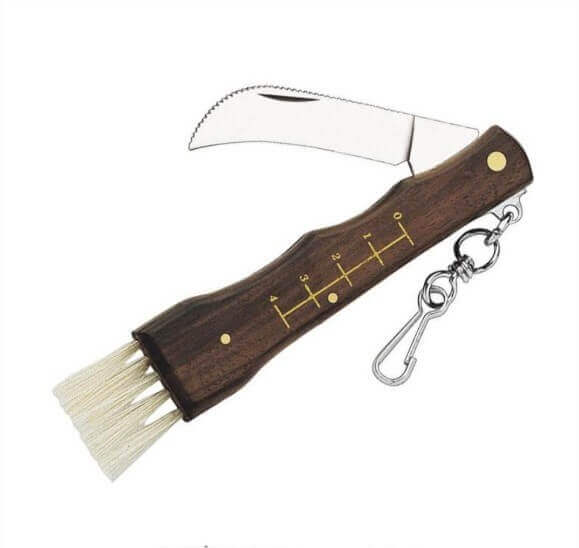 Couteau à champignon Herbertz 251411 inox manche bois 11cm + brosse