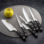 Mallette extra plate 5 couteaux de cuisine Sabatier Trompette Vulcano
