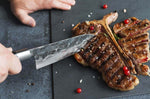 Coffret 3 couteaux Samura Blacksmith martelés : universel + santoku + nakiri