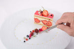 Pince à dresser professionnelle Louis Tellier 15.8cm tout inox