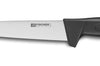 Couteau à saigner professionnel Fischer HACCP 20cm manche noir