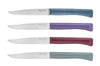 Coffret 4 couteaux Opinel Bon Appétit+ Glam 11cm inox