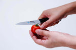 Couteau d'office japonais MAC Chef 10cm