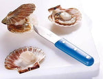 Couteau à coquilles St Jacques Au Nain lame large 11cm inox, manche bleu
