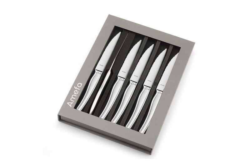 Coffret de 6 couteaux à steak Amefa Goliath tout inox