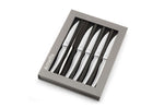 Coffret de 6 couteaux à steak Amefa Goliath tout inox