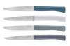 Coffret 4 couteaux Opinel Bon Appétit+ Tempête 11cm inox