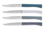 Coffret 4 couteaux Opinel Bon Appétit+ Tempête 11cm inox