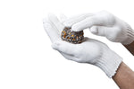 Gants anti-traces de doigts Touch-up Gloves Cape Cod 100% coton