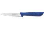 Trousse professionnelle du poissonnier 5 pièces Sanelli Skin
