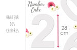 Kit number cake Scrapcooking 9 chiffres - Réutilisable
