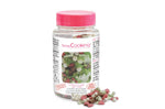 Pot décors sucrés Scrapcooking mix Noël 55g