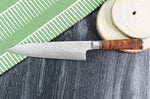 Couteau de chef japonais artisanal forgé Takeshi Saji R2 Tsuchime 21cm
